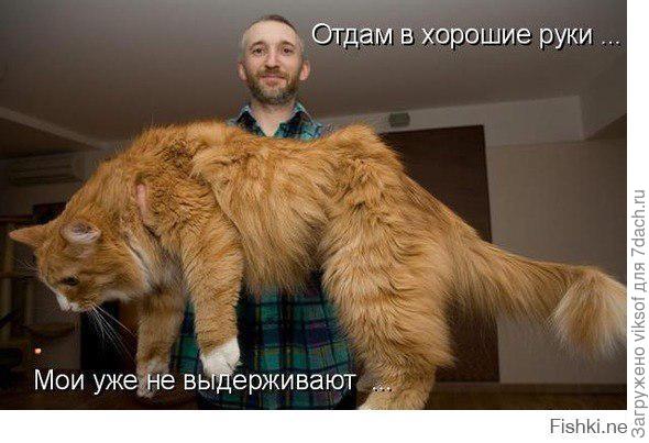 а потом так ( фото из интернета)