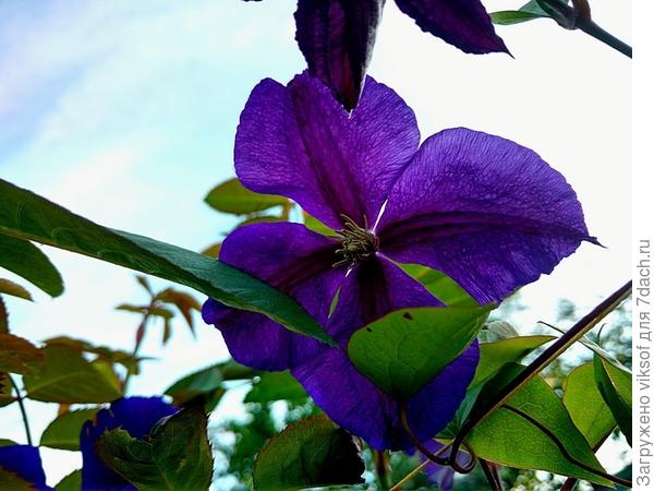 а когда их много-много...