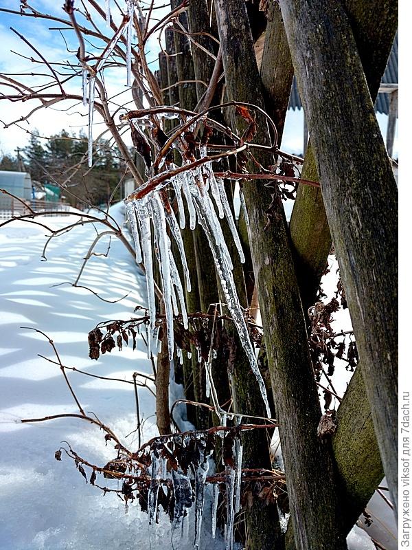 хрусталь на моём заборе
