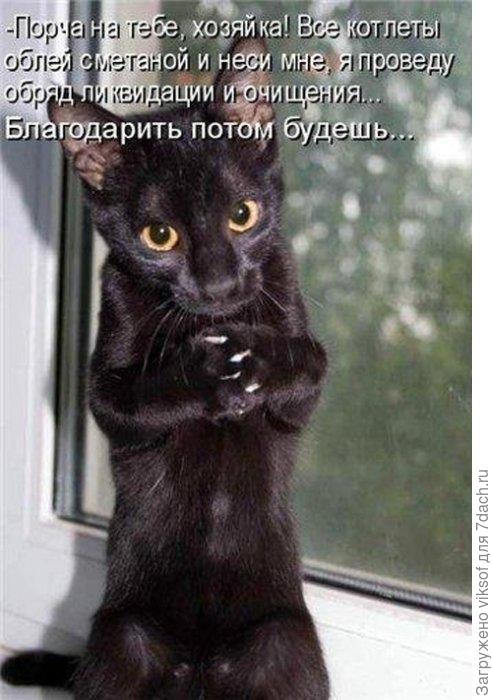 он ещё и мне оставит пару котлеток...