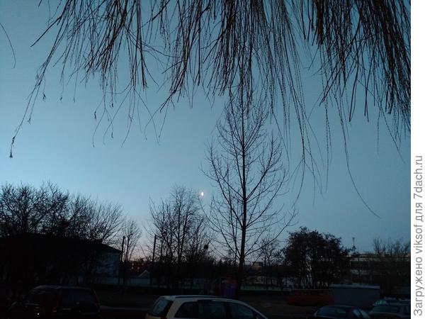 Это сегодняшнее утро