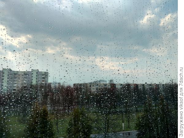 За окном дождик а на душе солнечно