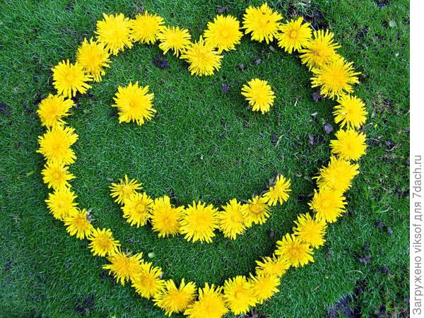 Всем весеннего настроения... и улыбка, без сомненья...