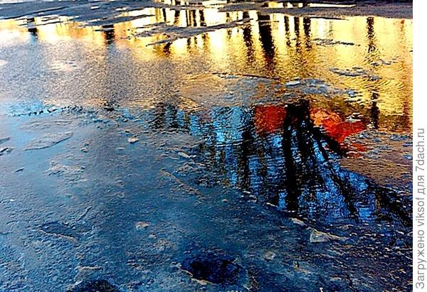 я возле этой лужи долго крутилась