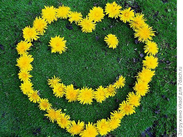 Весенний смайлик Семидачья