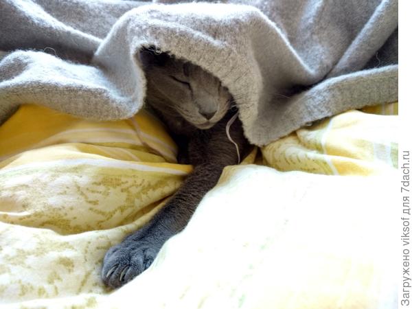 Замерзший Витас хочет на дачу, завтра едем!!!