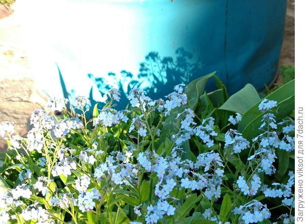 а это мои любимые!