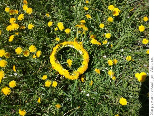 И веснушки повылазили повсеместно