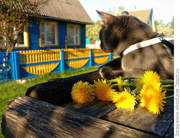 Ох, уж этот марафон - кругом цветочки Рыжего!