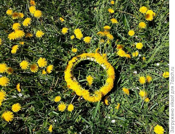 Расцвели весной в саду цветочки, я из них плету для вас веночки