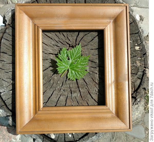 пенёк тяжеленький