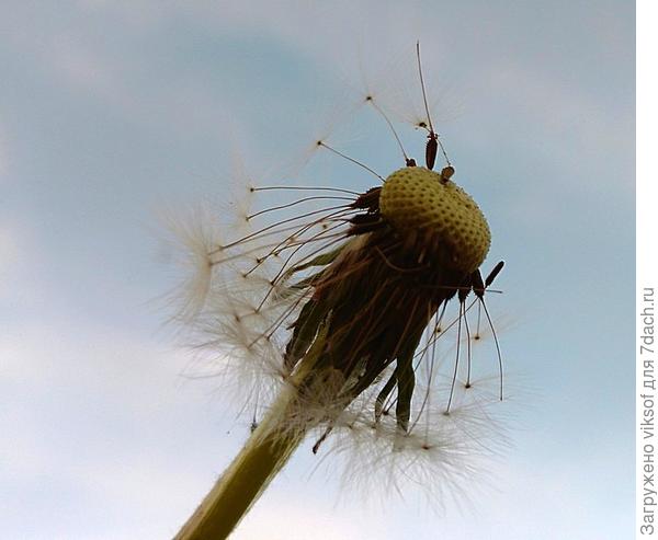 Отсеялся и пошёл на заслуженную пенсию