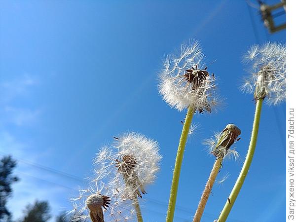 А зрелость-то прекрасна!
