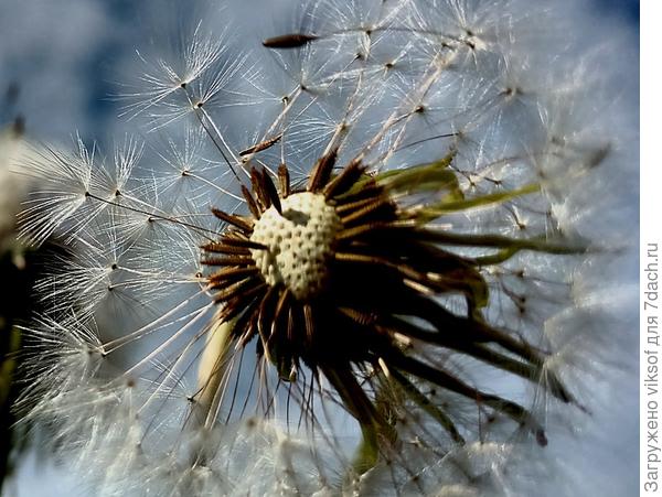 Десант к взлёту готов!