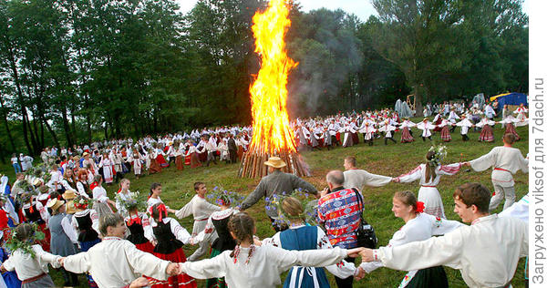 (фото из интернета)