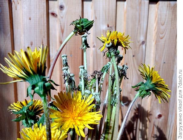 Новая смена пришла: