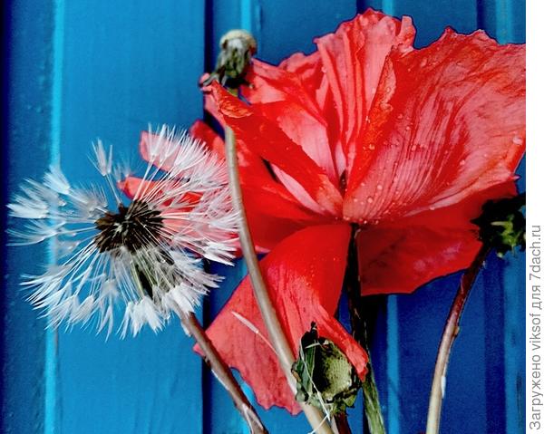 Рядом с тобой и в дождь тепло