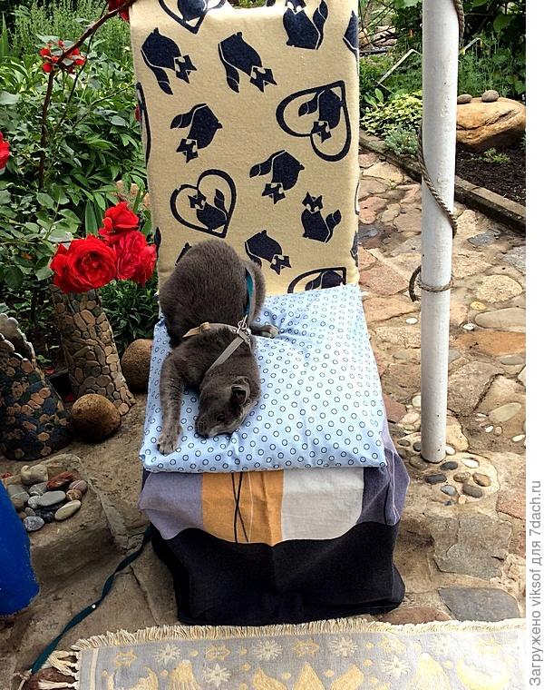 подушечка-то новая и по номинации в горошек, но буду дорабатывать...