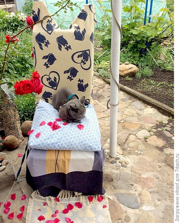 Вот она на любимом стуле в серо-голубых тонах