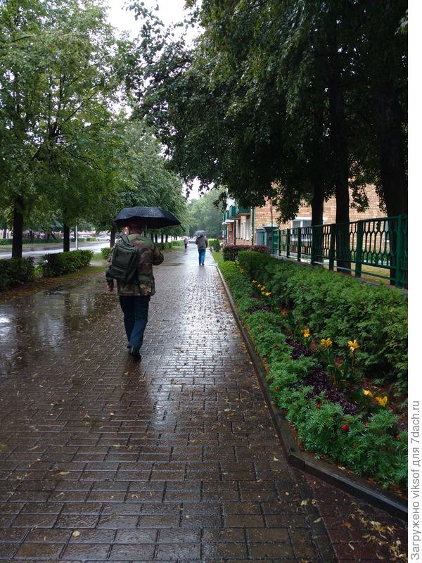 Муж в дождь без зонта не выходит, а мне нужны свободные руки!