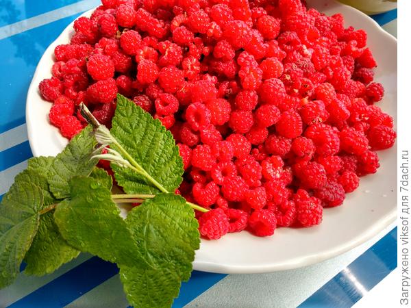 Угощайтесь!!!