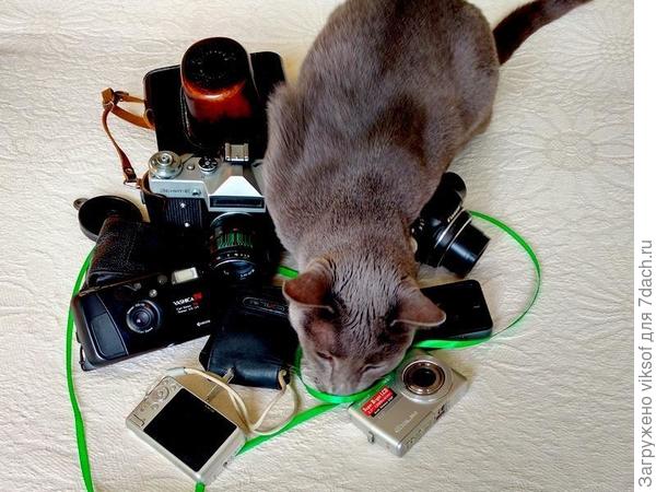 Мой помощник - ассистент, выбирает технику