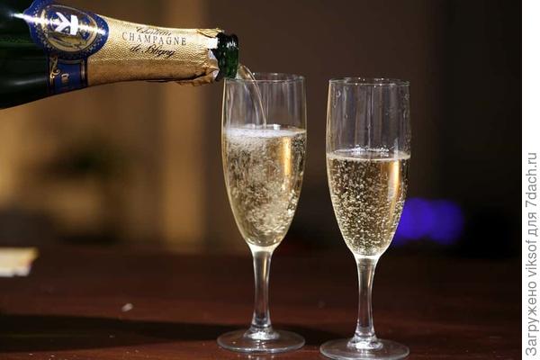 Ну, за любимое Семидачье