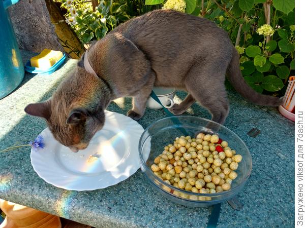 Он очень долго её рассматривал...