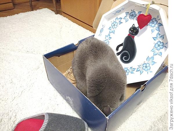 есди бы вы знали каким вкусным становится кофе, когда чашку с ним выносишь в сад на этом милом, в любимых мною цветах подносе! А тут внучка из подмосковья гостила у меня, вот с этой замечательной оказией и передала гостинчик - не всё Белпочта принимает для пересылки