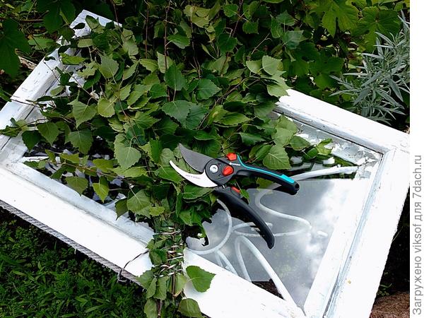 да, с берёзовым - лепота!