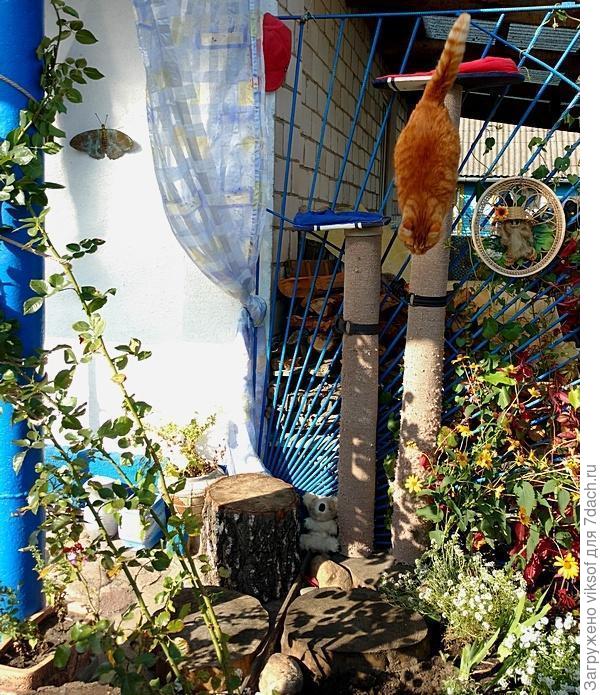 Рыжий у нас часто гостЮет, вот отдыхал в офисе Витаса