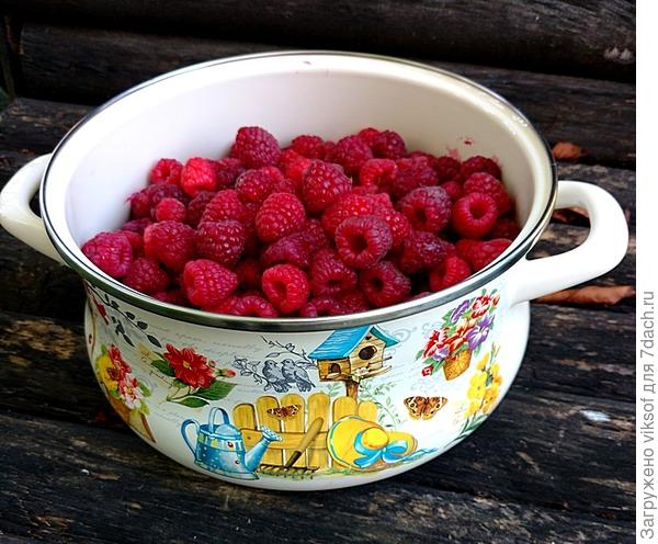 А у нас малина ремонтантная уродила - это вам всем, кто у тебя сегодня дома