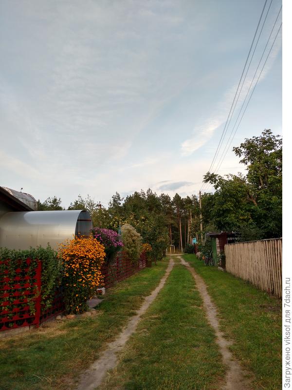 Впереди калитка в сосновый бор, справа дом соседей, а перед ним (не попал в кадр) наш, но одна всё равно не хожу