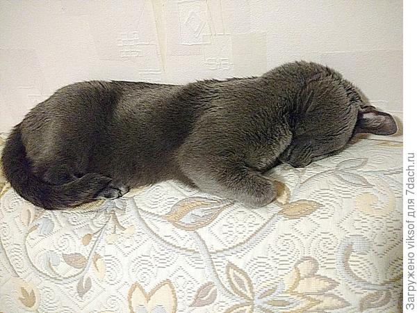 просто он устал, он подтвердит как только проснётся