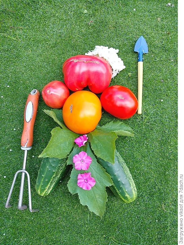 Помидорки, огуречки - семидачный человечек!