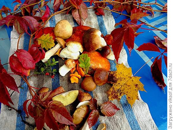 Ну, как же это не любить!