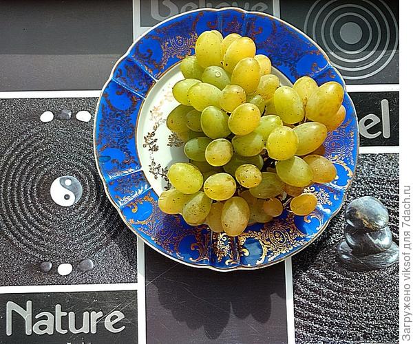 угощайся, дорогой - это у нас вырос, ничуть не хуже итальянского