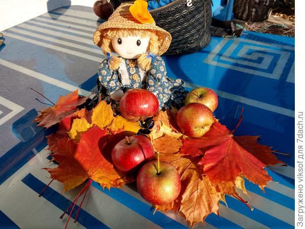 И яблочки мои для тебя дорогая, согрейся