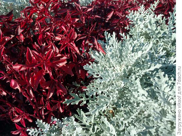 И это для Вас! С Днём рождения!