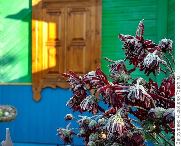 Осень  дачные ставни закрывает...