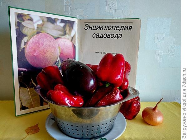 Выращенные по умным советам!