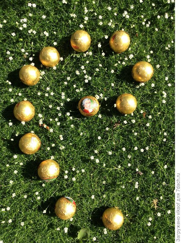 Лето — чУдная пора, у меня и конфеты выросли на газоне,