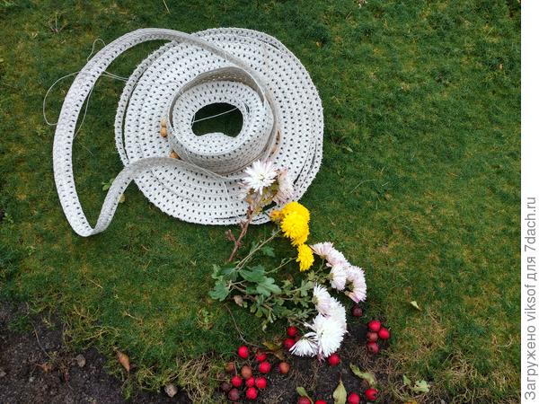 Шляпка за сезон поистрепась, да и ладно, купим новую, а завтра обещают снег, зима не за горами