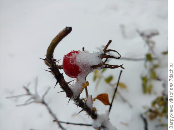 И с первым снежком!!!