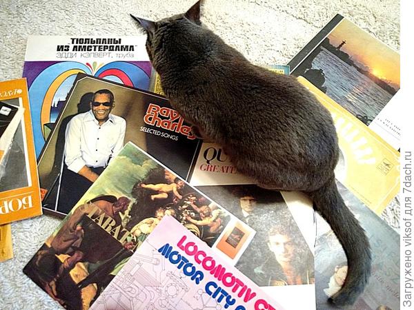 Витас тщательно готовился к вечеринке по случаю своего Дня рождения!