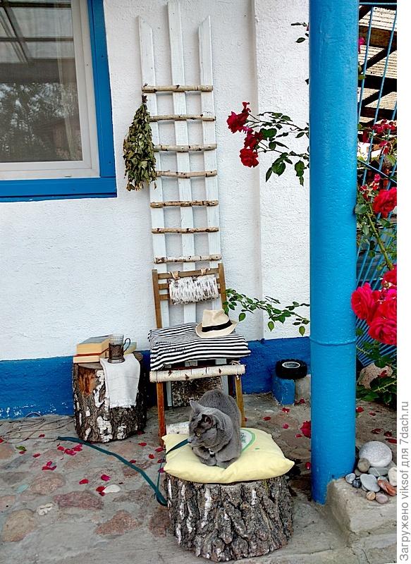 на даче, хоть и с поводком, но очень хорошо было, а сейчас: поел поспал; поспал, поел, скорее бы весна