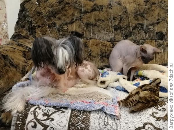 обожаю эту фотографию