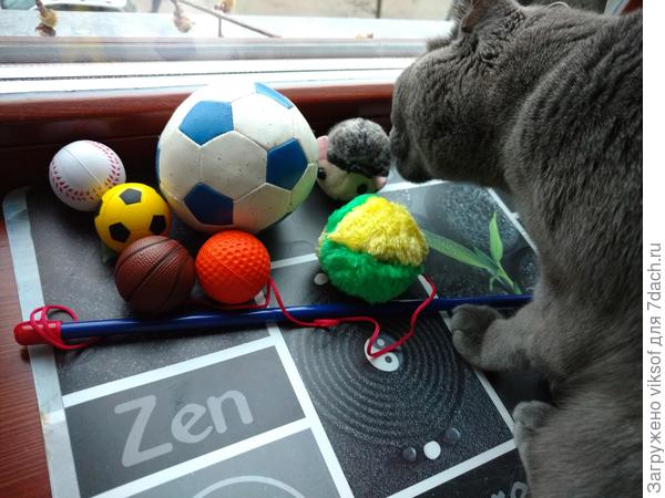 и Витас присоединяется к поздравлениям и делится своими мячиками