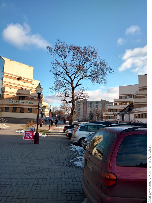 Только вчера солнышко выглянуло на полчасика и снова спряталось, но всё-таки ...