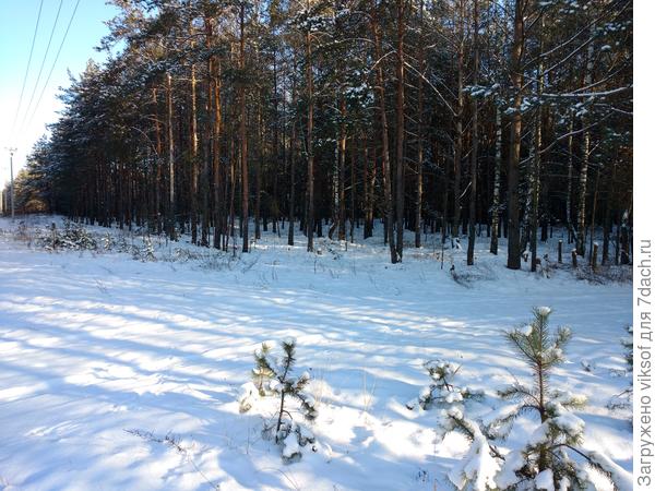 Рядом с дачей